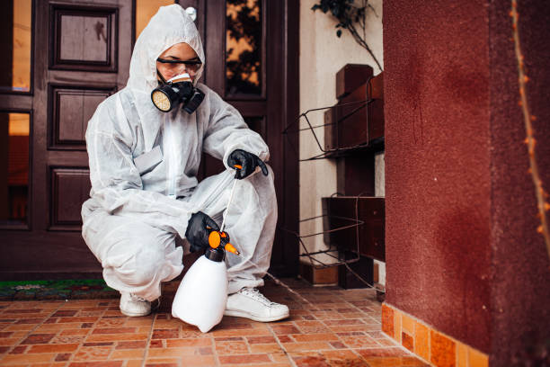 Reliable Cockroach Control contractor in Sun City, AZ by Nex Pest Control
